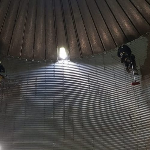 FB_IMG_1760086334216